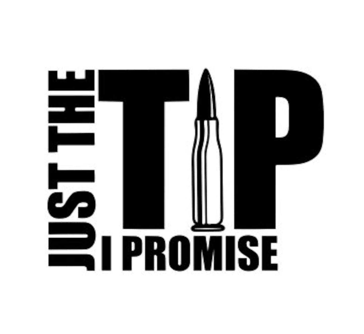 Just the tip i promise, funny truck, car, wall decal. 7x5 inches